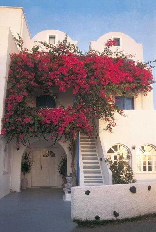 Melina Aparthotel Fira (Santorini)